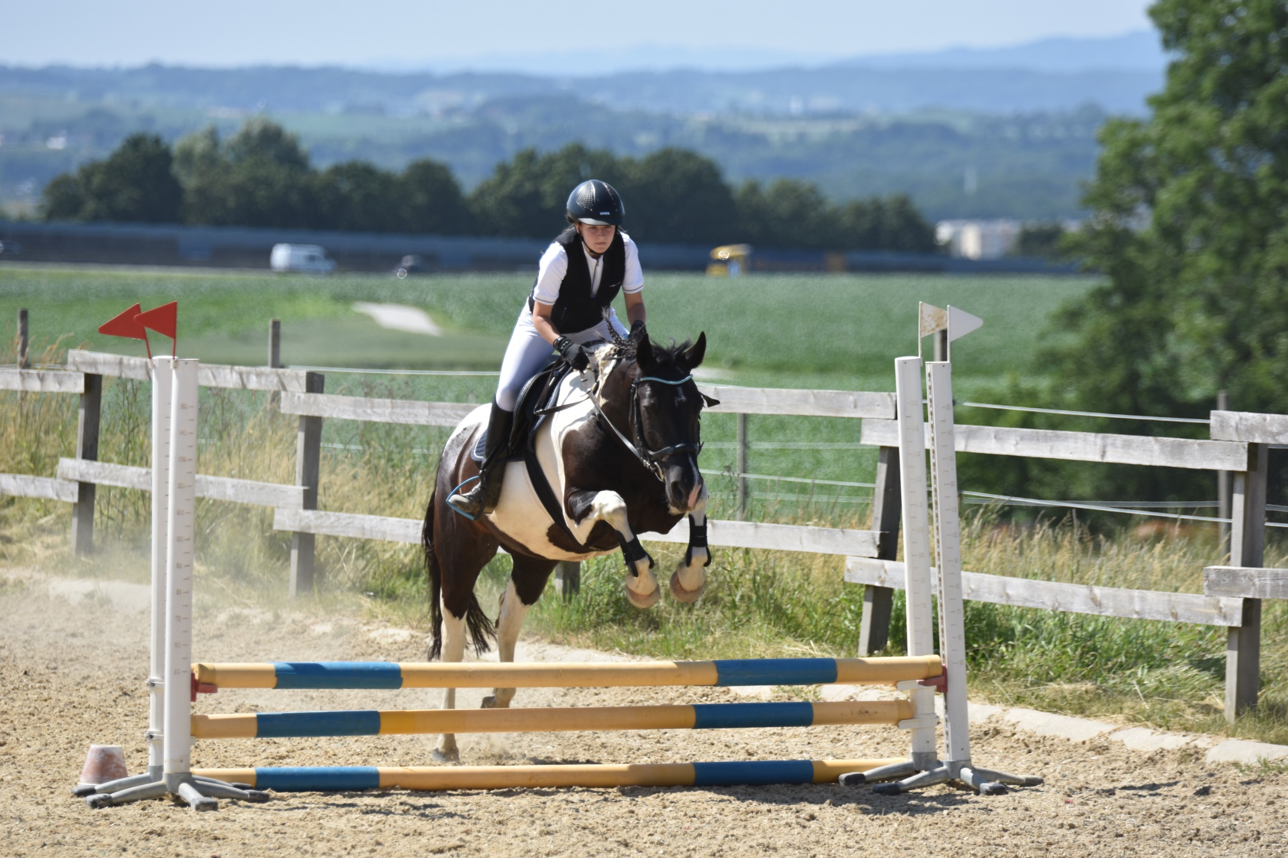 WhatsApp Bild 2025-06-21 um 20.33.45_5cc42895