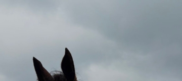 WhatsApp Image 2026-03-15 at 21.47.10